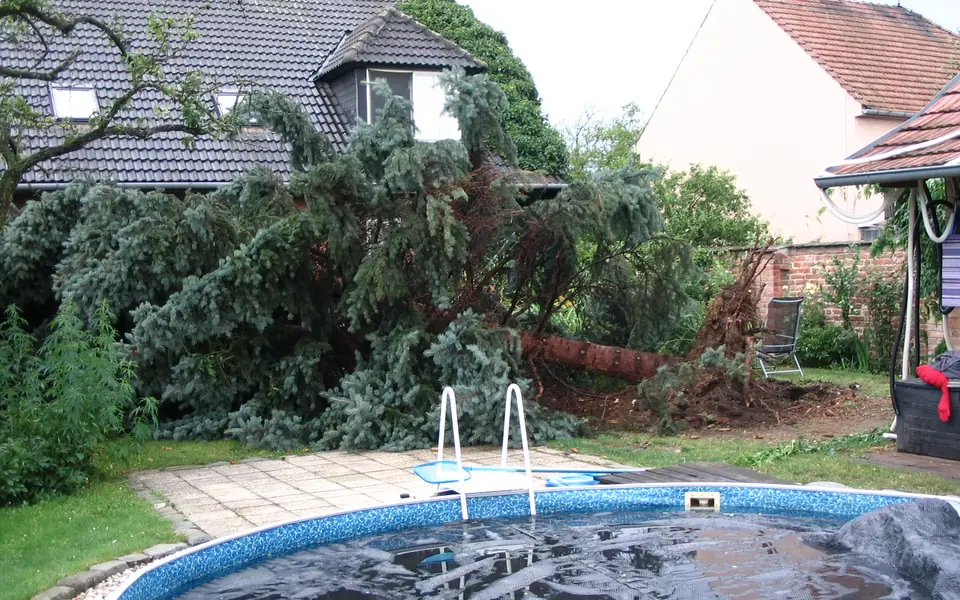 Storm Damage Tree Cleanup in Huntsville