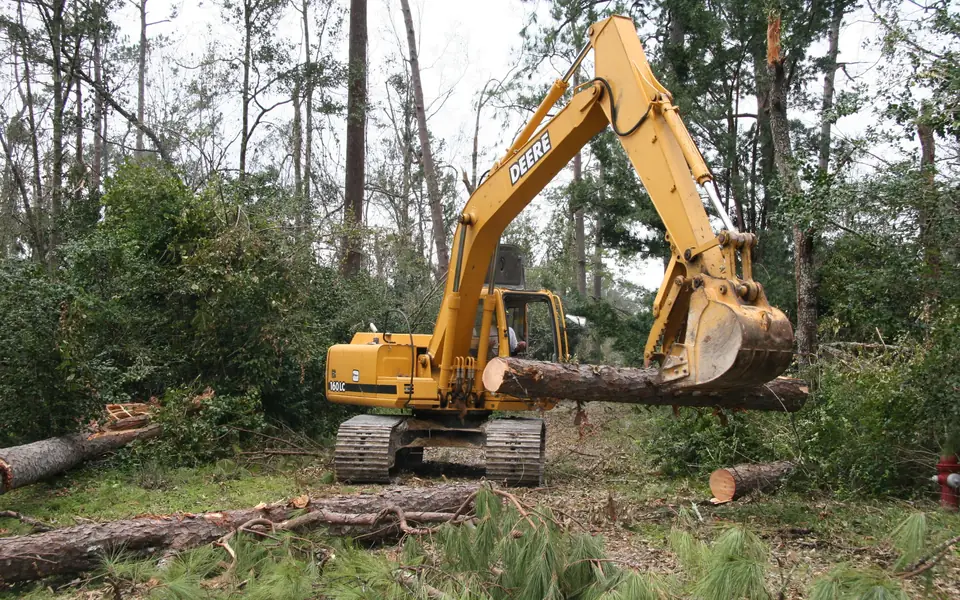Tree Removal in Huntsville