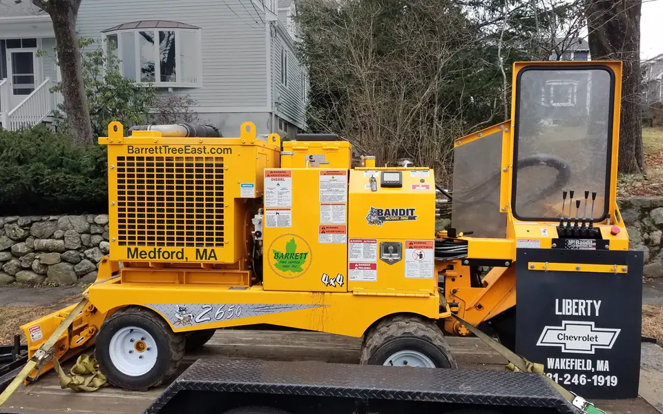 Stump Grinding in Huntsville